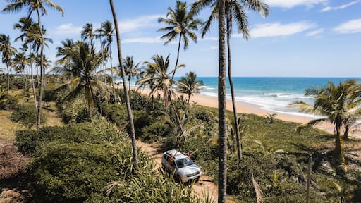 Panoramic aerial view of beaches and lagoon, with a car passing along the Bromeliad Trail, southern coast of Bahia, Maraú Peninsula, Barra Grande, beach with coconut trees, white sand