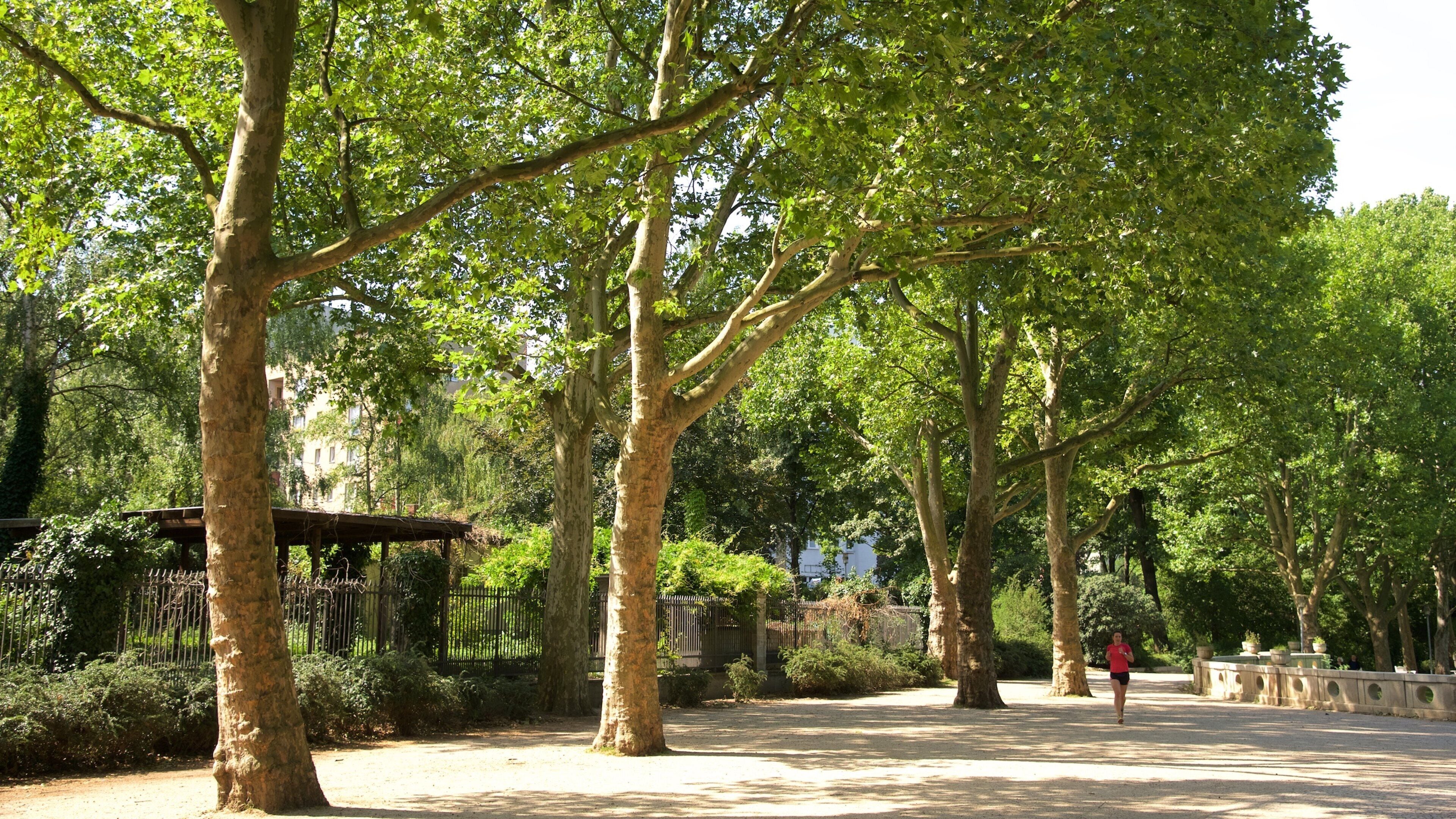 Schöneberg presenterar en trädgård