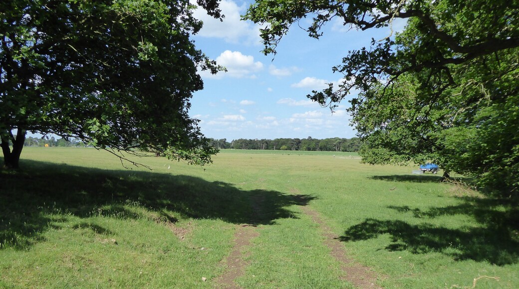 Eriswell Low Warren is a biological Site of Special Scientific Interest north-east of Mildenhall in Suffolk.