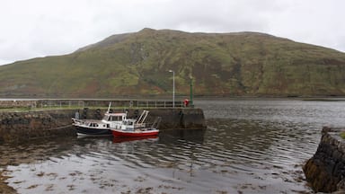 Other view 🇮🇪🇮🇪🍀