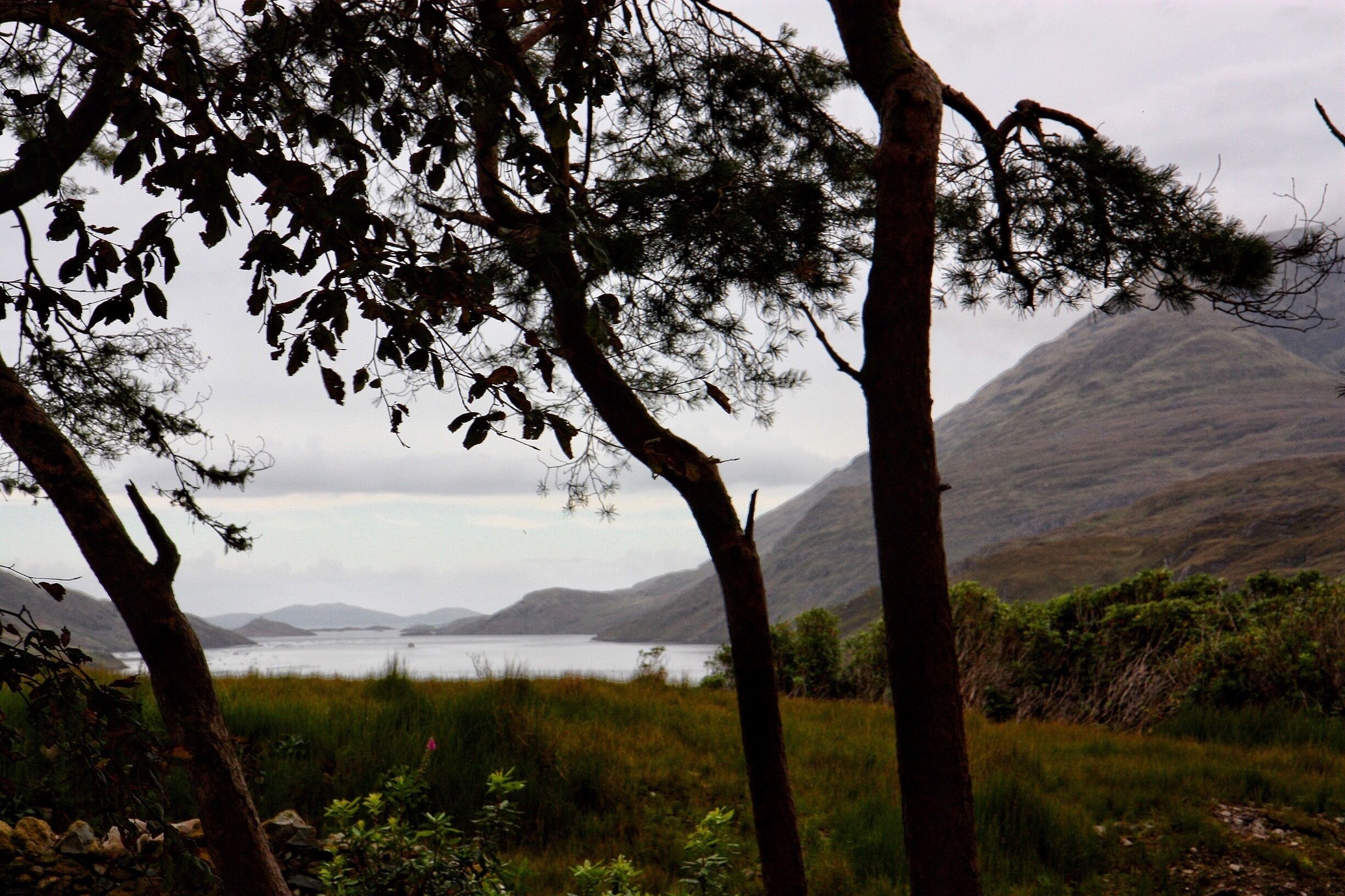 The fjord has a length of 16 kms . Gorgeous place . 