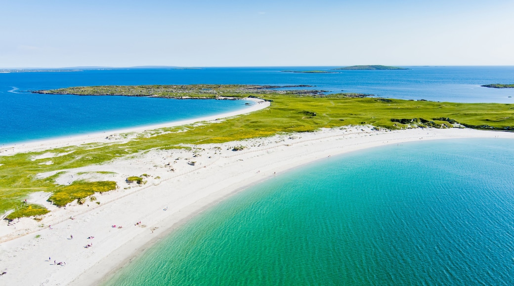 A coastal landscape with a white sandy beach, clear turquoise waters, and a distant island.