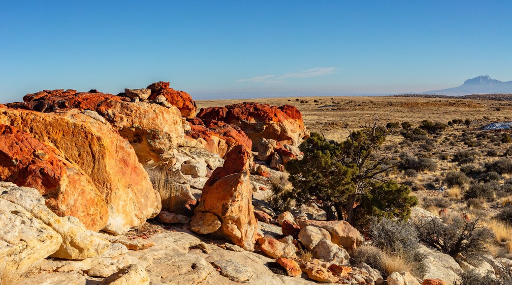 In the distance the Henry Mountains rise above the reddish colored sandstone of North Caineville Mesa located between Hanksville Utah and Capitol Reef National Park.