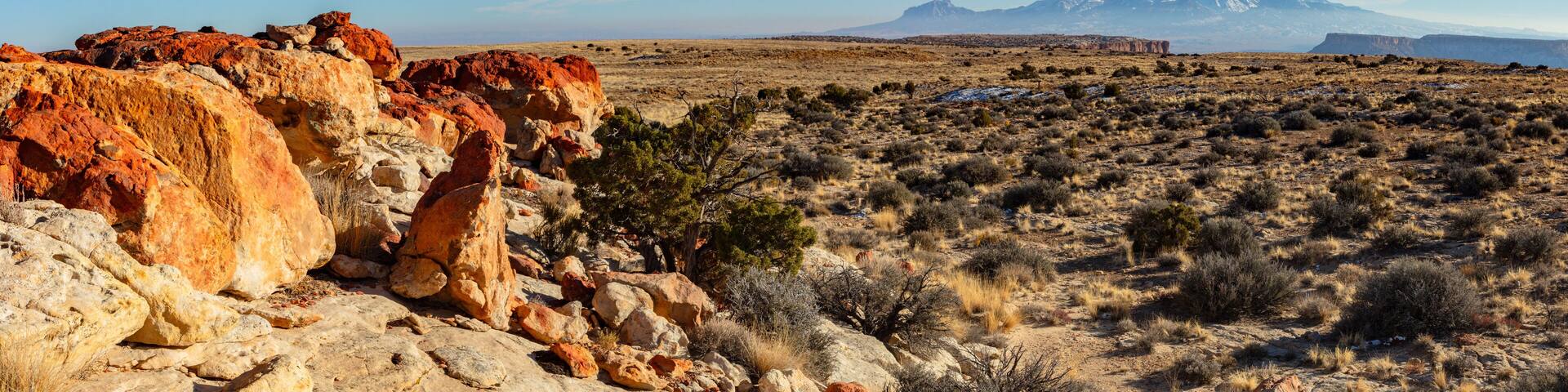 In the distance the Henry Mountains rise above the reddish colored sandstone of North Caineville Mesa located between Hanksville Utah and Capitol Reef National Park.