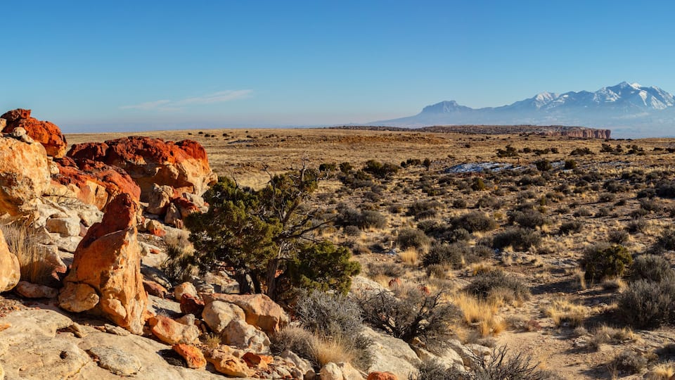 A desert landscape with red rock formations and a mountain range in the background.
