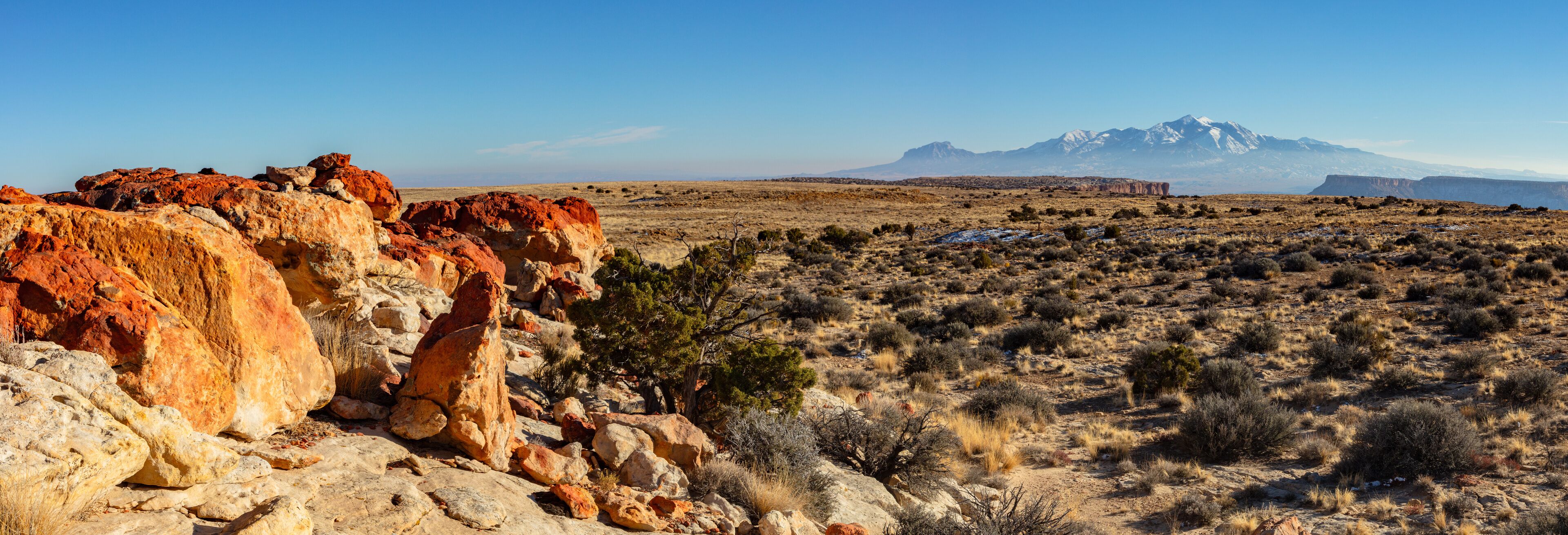 A desert landscape with red rock formations and a mountain range in the background.