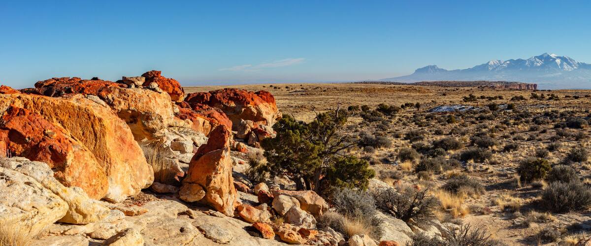A desert landscape with red rock formations and a mountain range in the background.