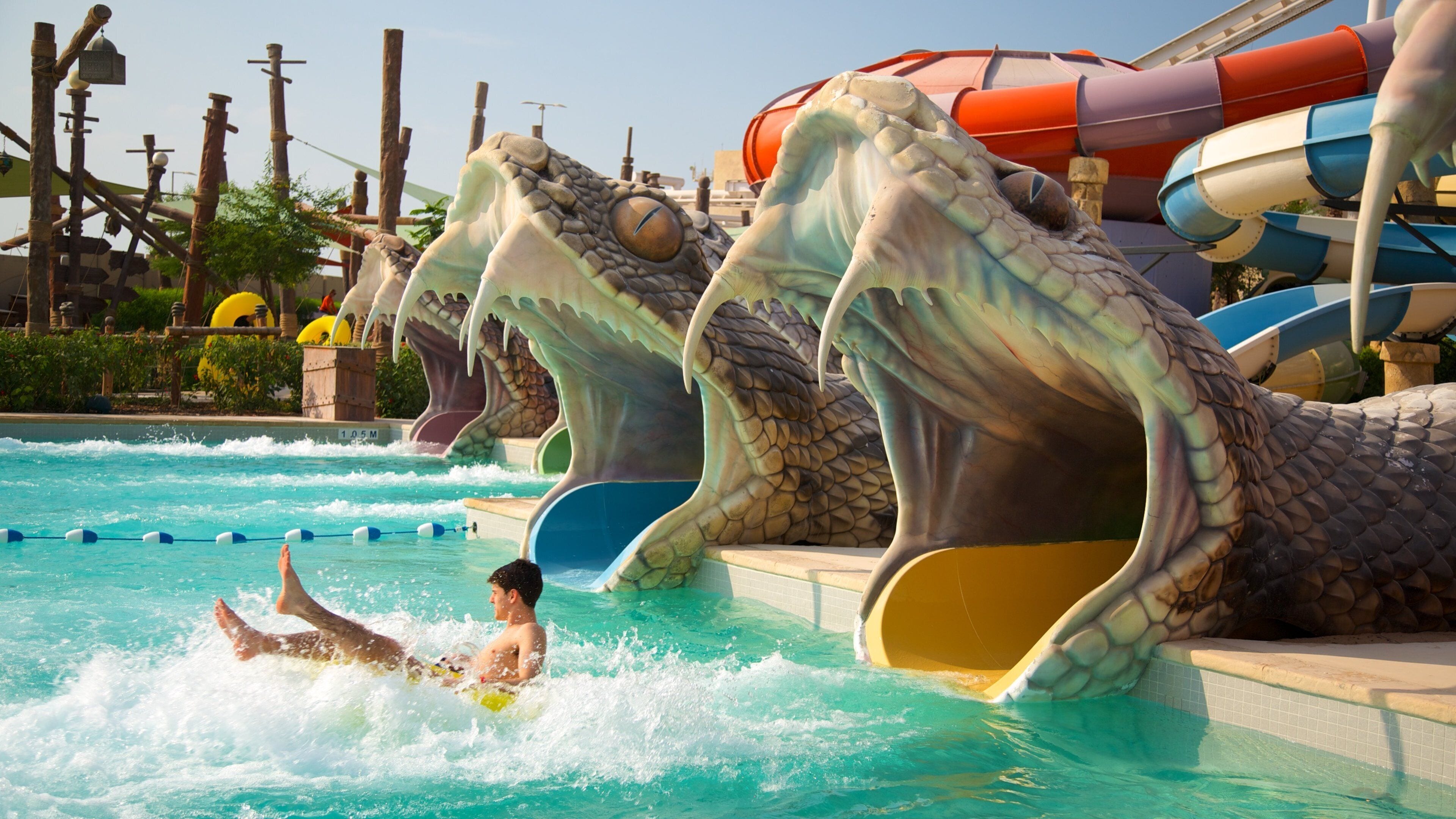 Île de Yas montrant parc aquatique aussi bien que homme