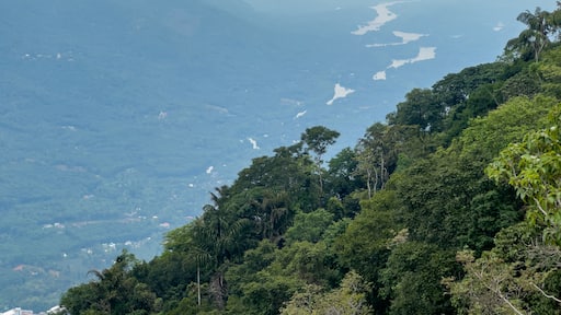 Scenic view from the Nadukani Pavilion, offering a picturesque landscape spanning the sparkling waters of Muvattupuzha River, Idukki Valley, Kerala