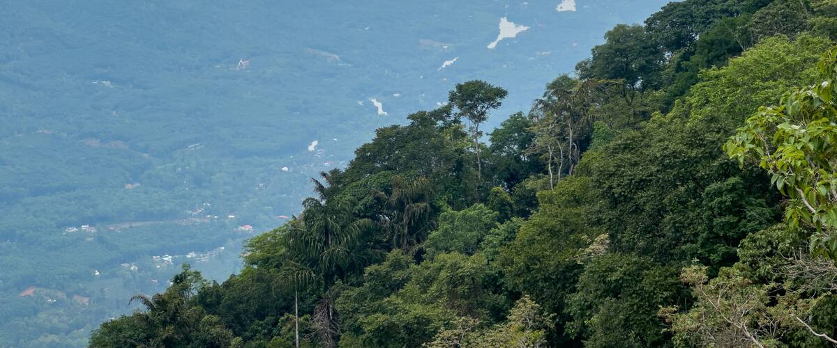 A mountainous landscape with dense forests and a winding river.