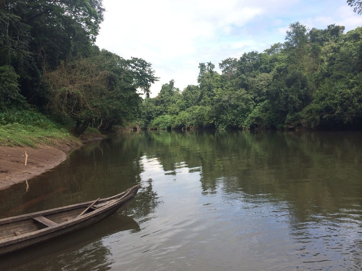 Blavana, near Pooyamkutty, Malayatoor forest division, Kerala

