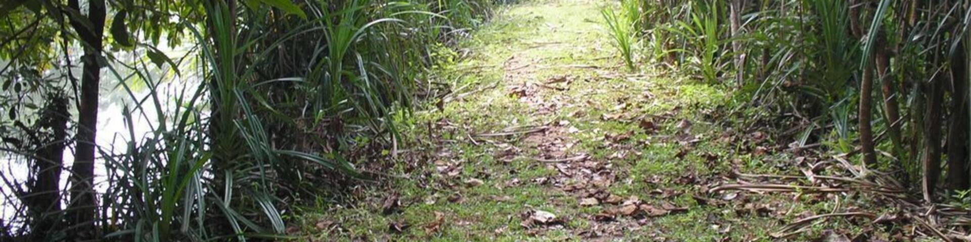Exploring the Bird sanctuary at Thattekad.
