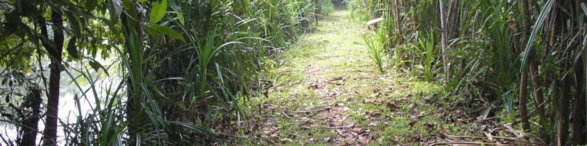 Exploring the Bird sanctuary at Thattekad.