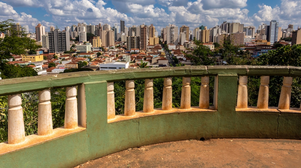 Ribeirao Preto, Sao Paulo, Brazil, April 30, 2015. Mirante Municipal, one of the attractions of Bosque Municipal Fabio Barreto, in the city of Ribeirao Preto