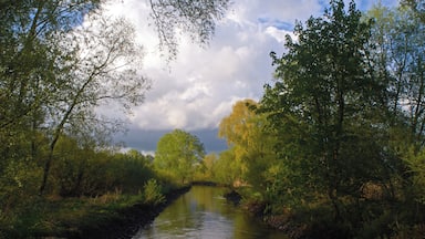 Blick von der Brücke der Straße 'Zur Seebrücke' über die Luhe Richtung Norden. Naturschutzgebiet Ilmenau-Luhe-Niederung