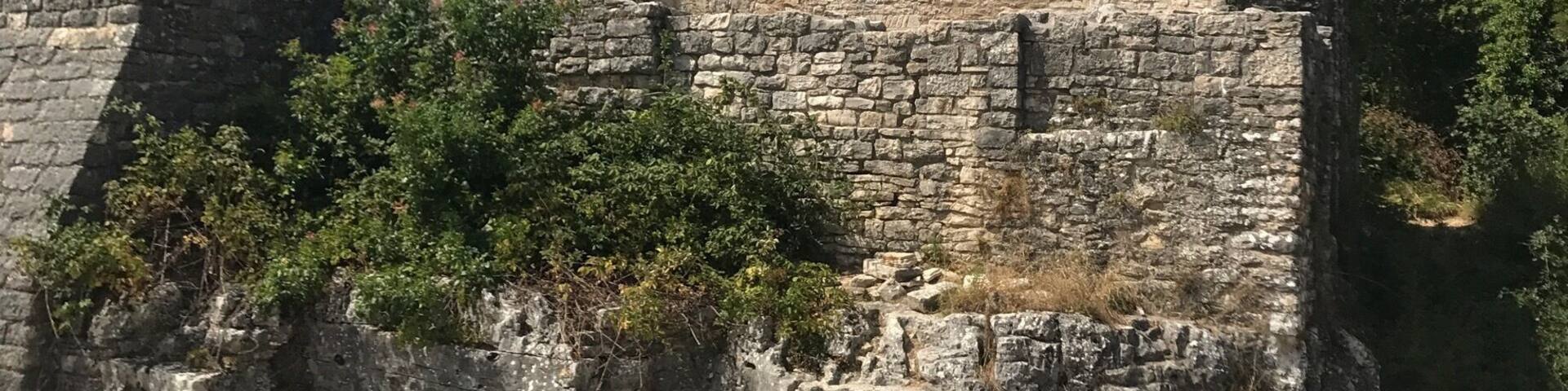 Dvigrad is a ruined medieval town in Istria. It's great to spend N hour or so exploring and climbing. The cafe at the car park does a great calamari and fries for 40kn and has a toilet, Dvigrad itself is free to enter.