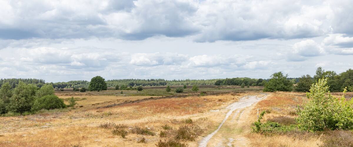 A dirt path through a dry grass field with trees and a cloudy sky.