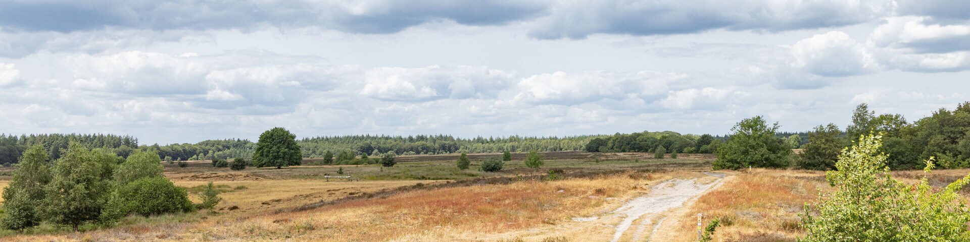 A dirt path through a dry grass field with trees and a cloudy sky.
