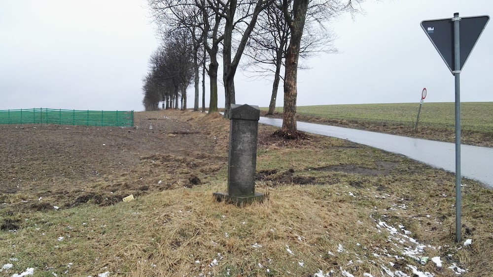 A rural landscape with a grassy field, a dirt path, and a row of leafless trees.