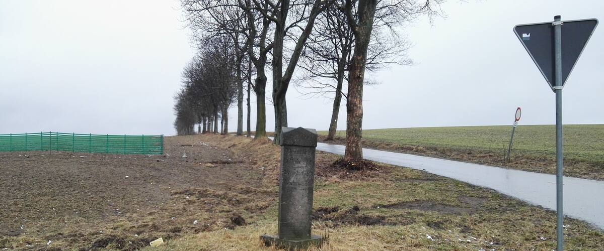 A rural landscape with a grassy field, a dirt path, and a row of leafless trees.