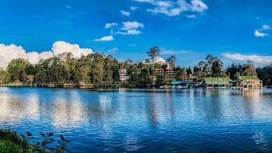 Un lago con edificios y árboles en la orilla.