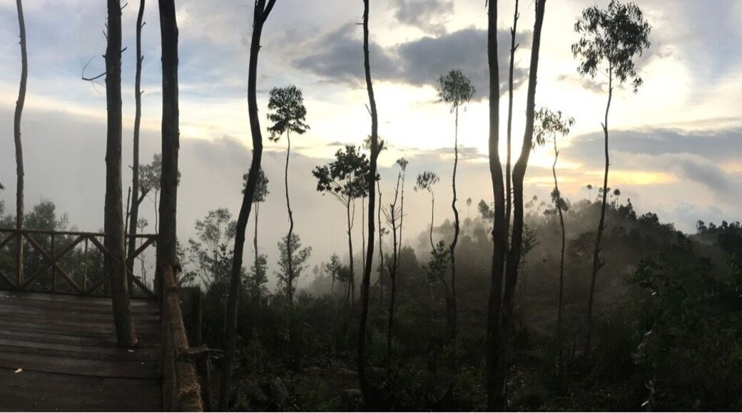 View of the Misty mountains off Naidupuram in Kodaikanal. This was in September when rains are heavy and the valley view is breathtaking. You can only experience peace at a place like this.