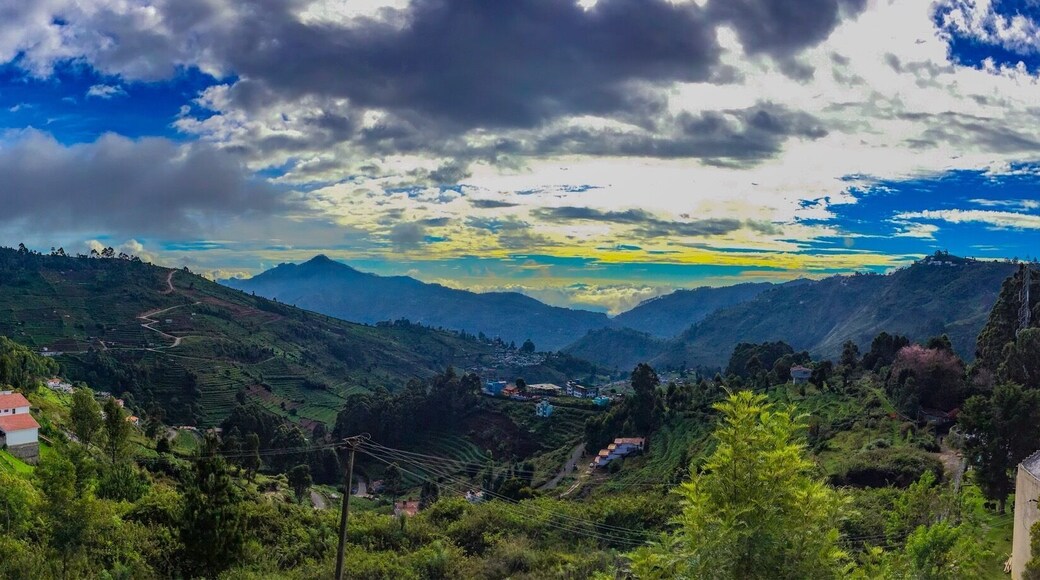 #Green valley soaking up the morning sun...
#incredibleIndia