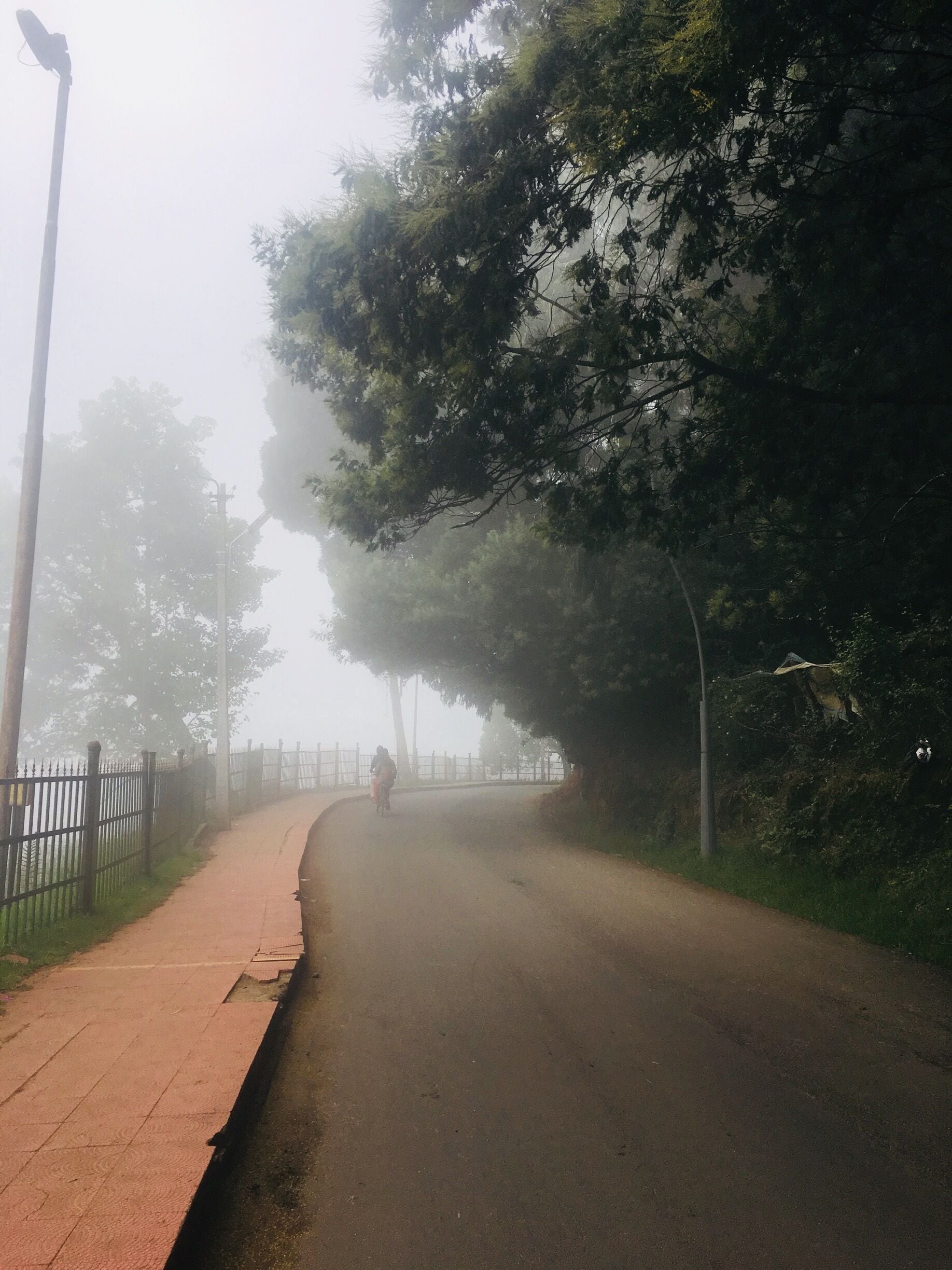 Rent bicycles for Rs 50 (30 mins) and rejuvenate yourself as you pedal around the Kodai lake. The cool air and the mist that makes sure you don’t see beyond a few metres would definitely wipe your worries away :) #kodaikanal #kodailake
