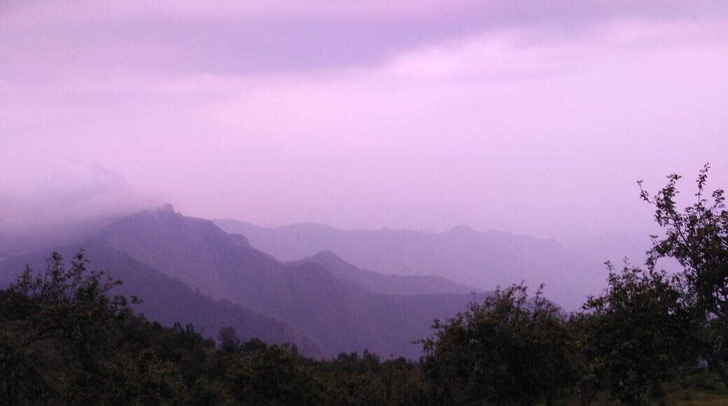 Beautiful views like these are the most perfect nature's refreshment for all those who need a break from their 9-5 routine life .
Place : Dolphin Nose , Kodaikanal