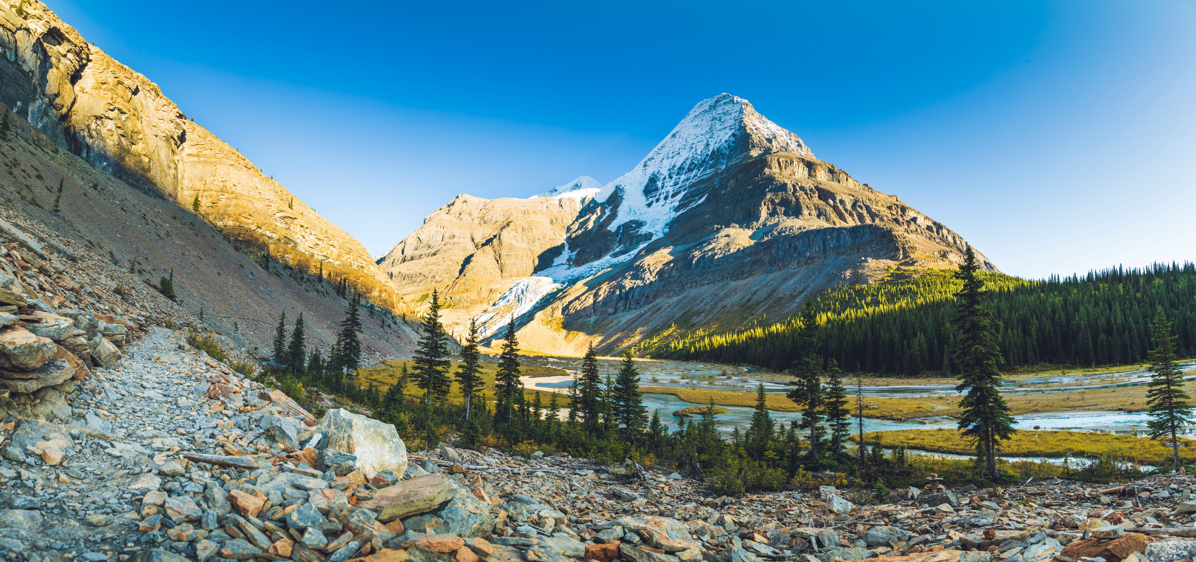 Parc provincial du Mont-Robson