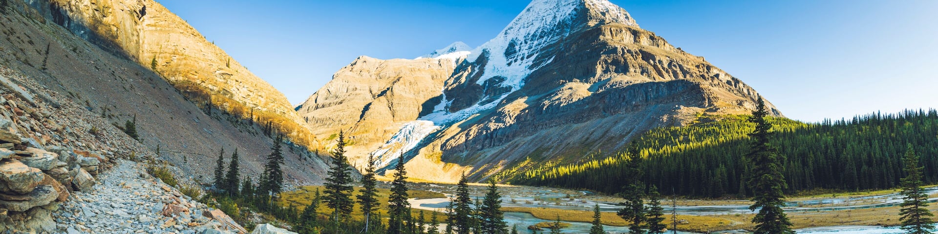 mount robson