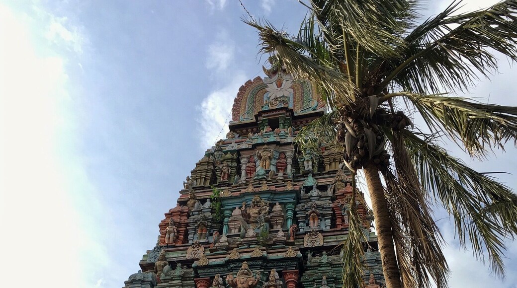 Adi Kesava Temple is dedicated to Hindu god Vishnu located in Sriperumbudur, Kanchipuram district, in the South Indian state of Tamil Nadu.
Apparently 1500 years old.