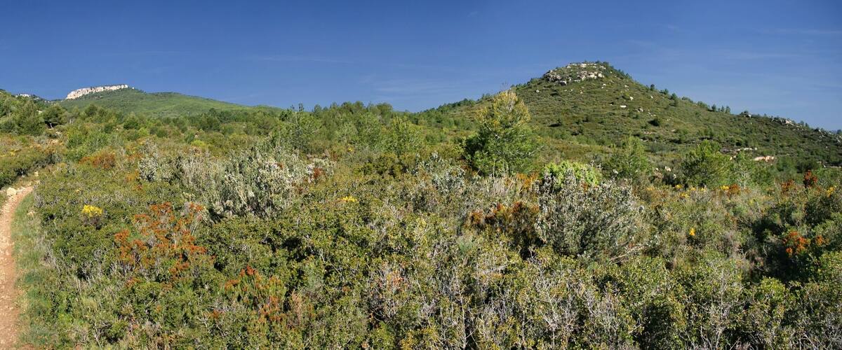 A mountainous landscape with a dirt path leading through dense vegetation and rocky outcrops.