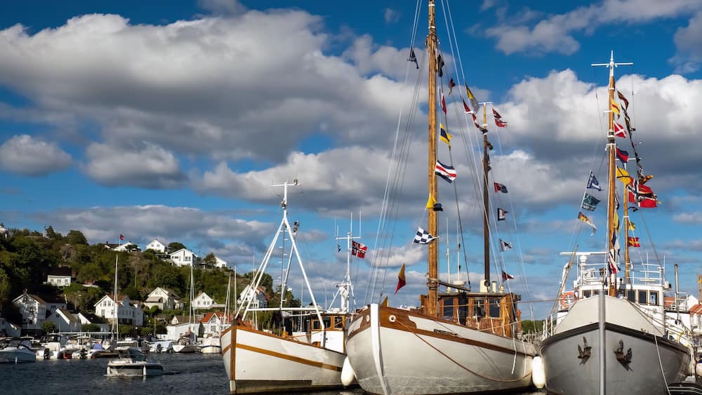 A harbor with several sailboats docked, a clear sky, and houses in the background.
