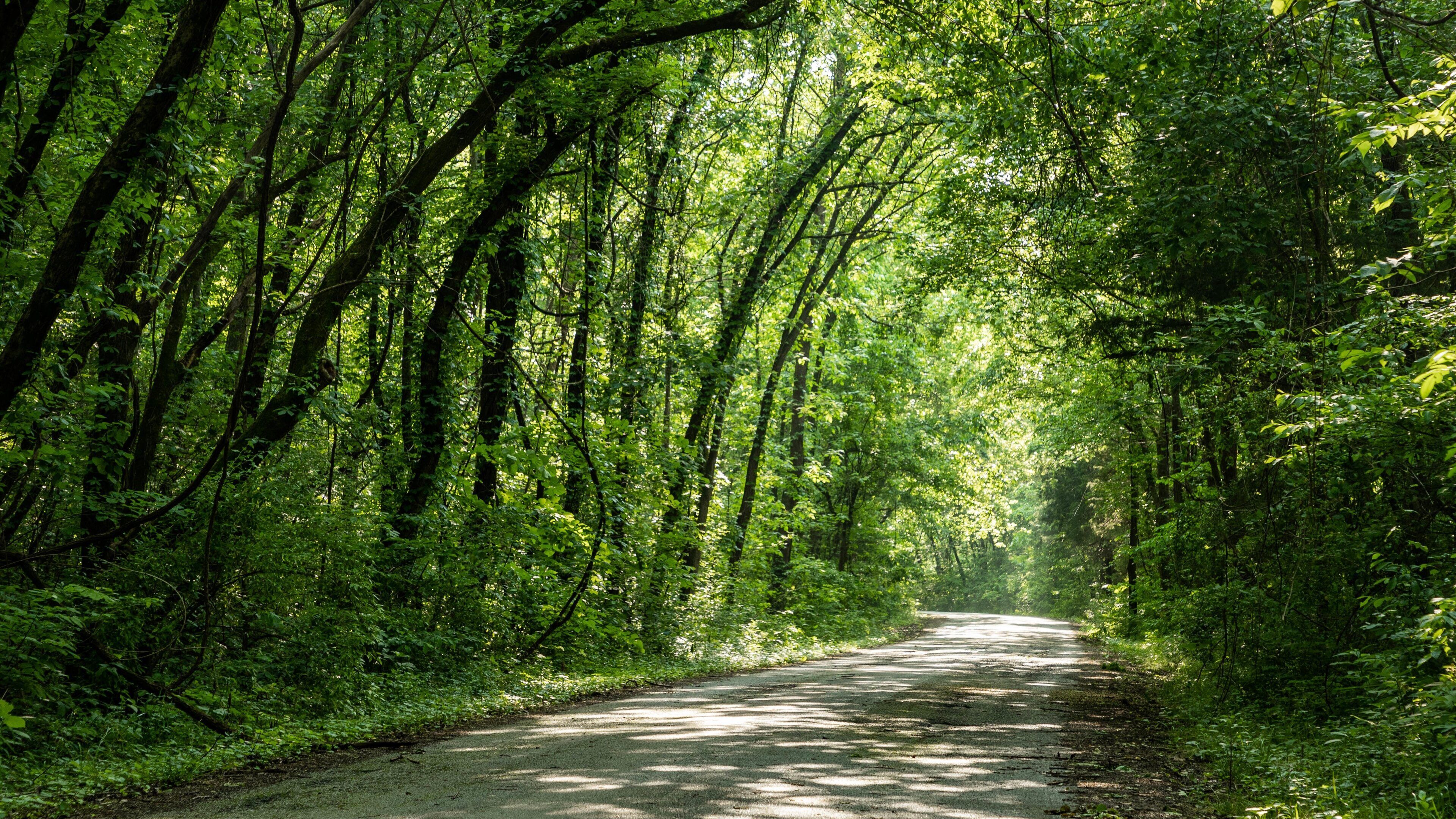 Table Rock Lake State Park which includes forests and a garden