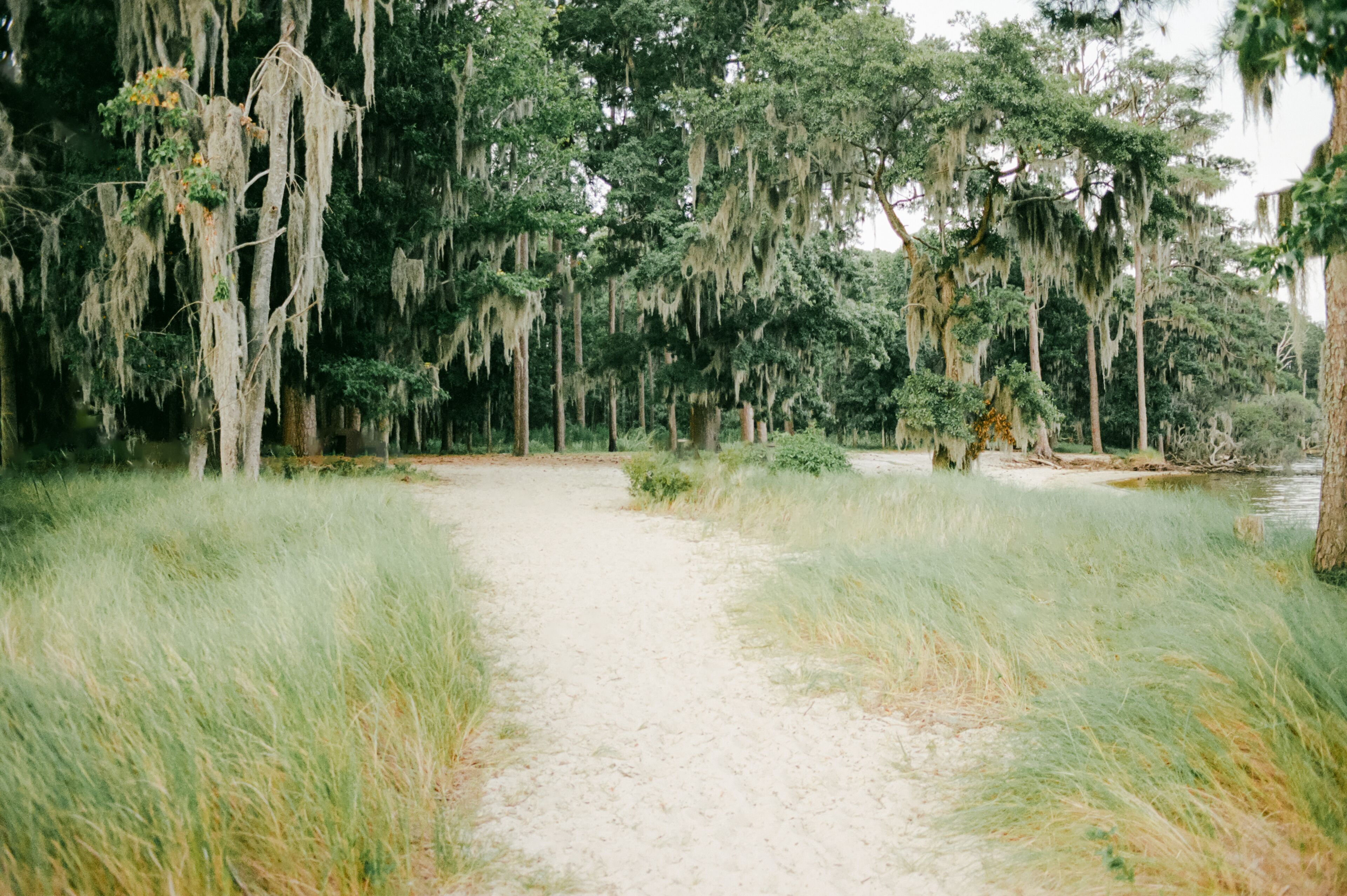Coastal trail in Washington NC
