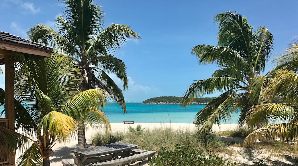 This is the view from the Chat and Chill on Stocking Island 🌴
They fire up the grill at lunchtime! Icy cold beverages too !
#Exuma #Bahamas #ChatandChill #StockingIsland #beachbound