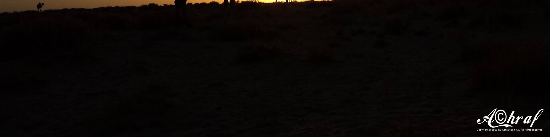 End of Saharian journey full of patience, hope and faith
Fin d'une journée saharienne pleine de patience, espoir et foi
نهاية جولة صحراوية مليئة بالصبر و الأمل و التفاؤل #sahara #patience #faith #foi #hope #جولة صحراوية #صبر #camel #جمل #sunset