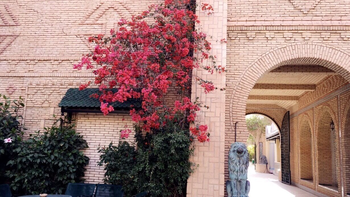 #traditional #architecture #tozeur 