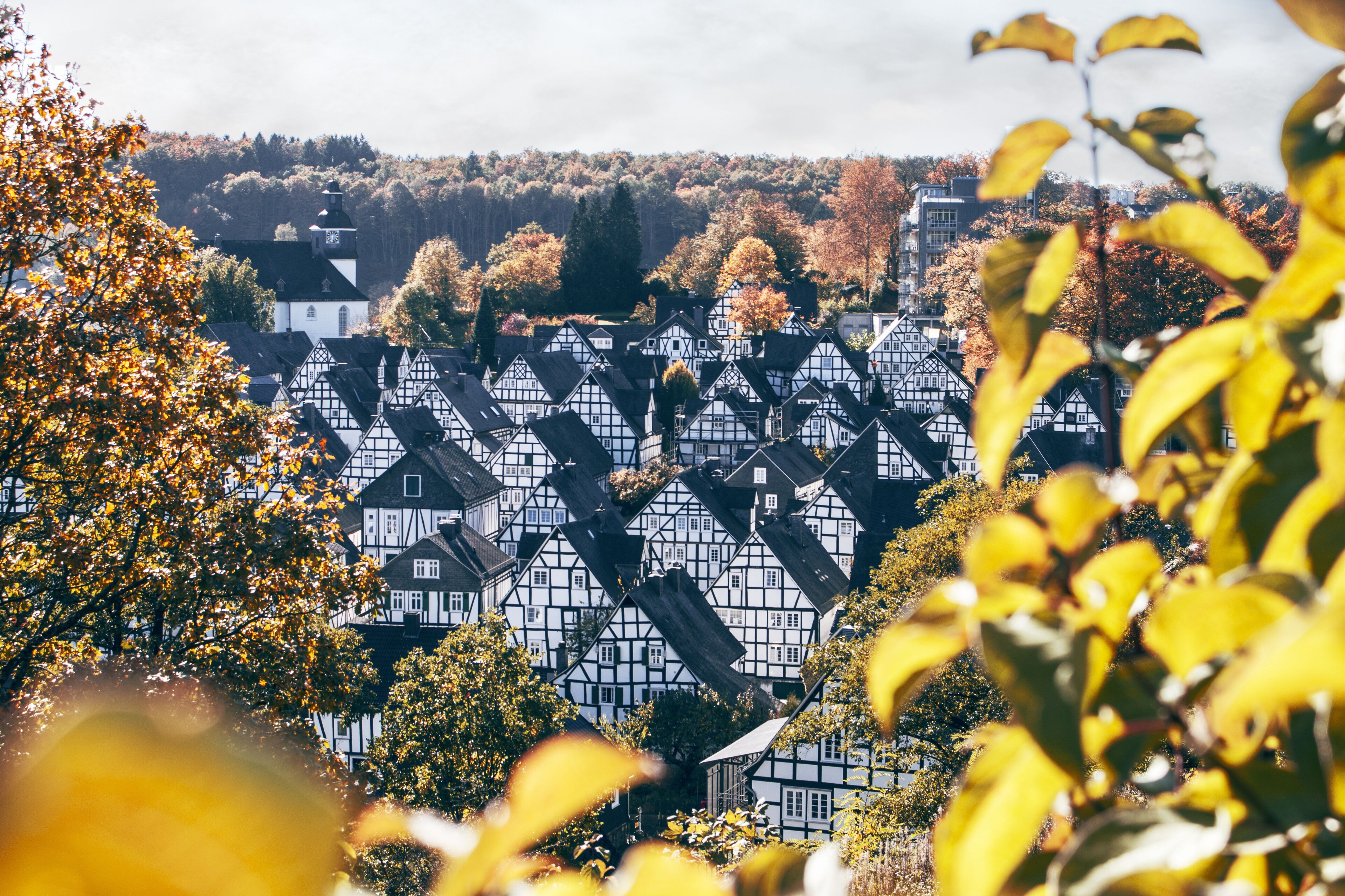 A village with traditional timber-framed houses, surrounded by autumn-colored trees.