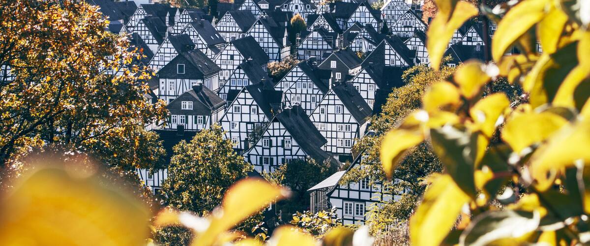 A village with traditional timber-framed houses, surrounded by autumn-colored trees.