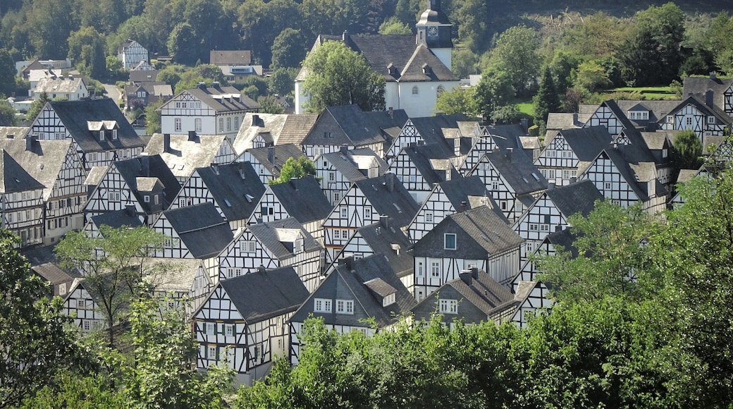 A fairy-tale village in Westphalia.
#LocalSecrets #Trovember