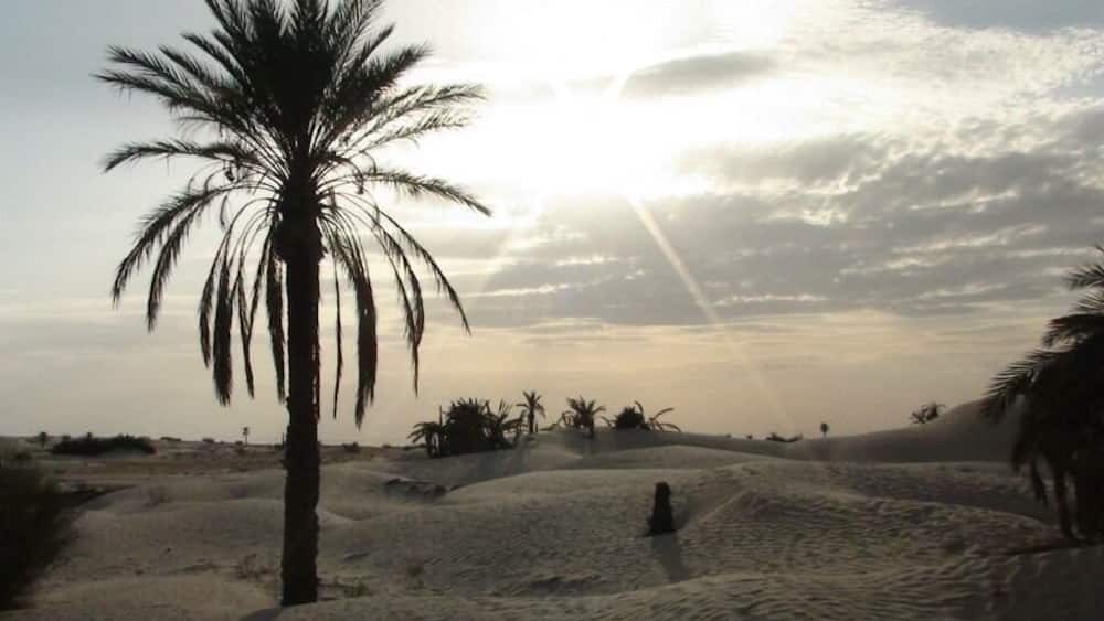 Took a ride out into the Sahara