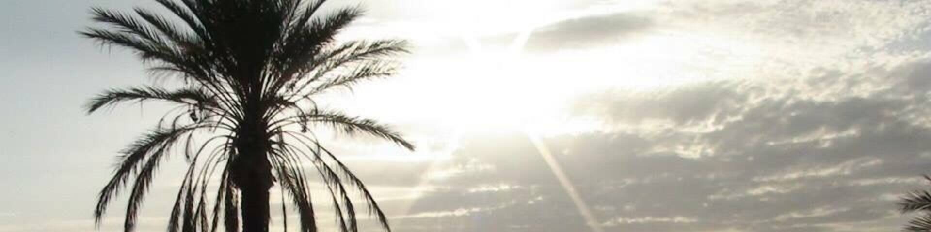 Took a ride out into the Sahara