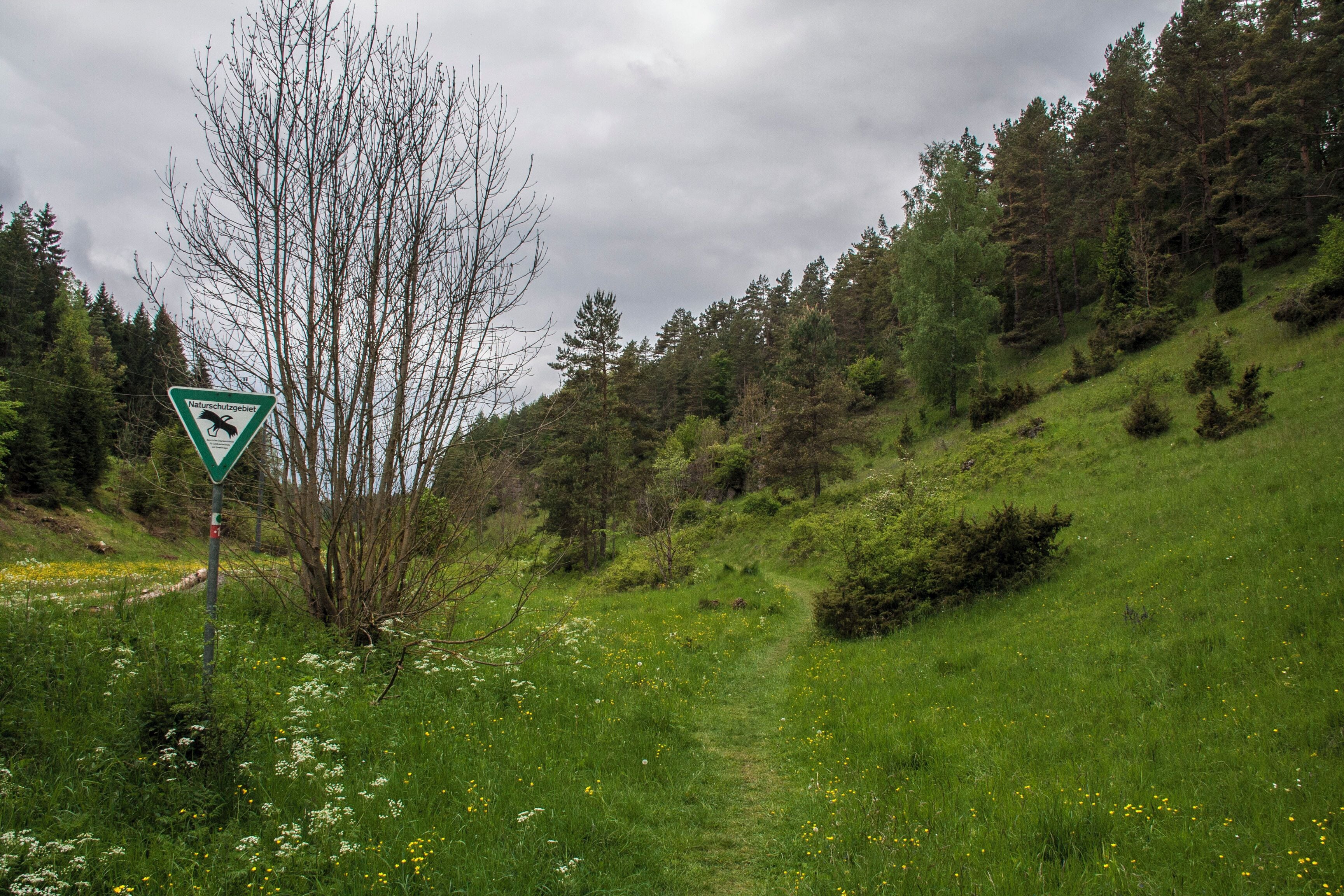 Naturschutzgebiet, Rinntal, Alfeld