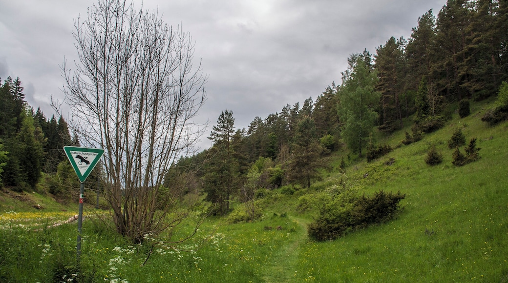 Naturschutzgebiet, Rinntal, Alfeld