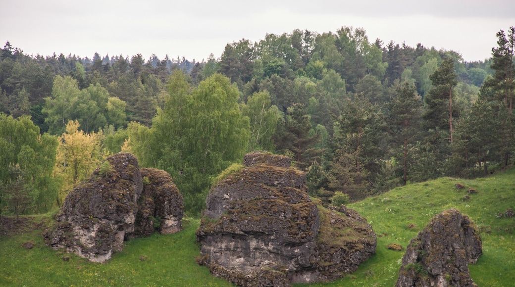 Huberfelsen, Alfeld, Geotop