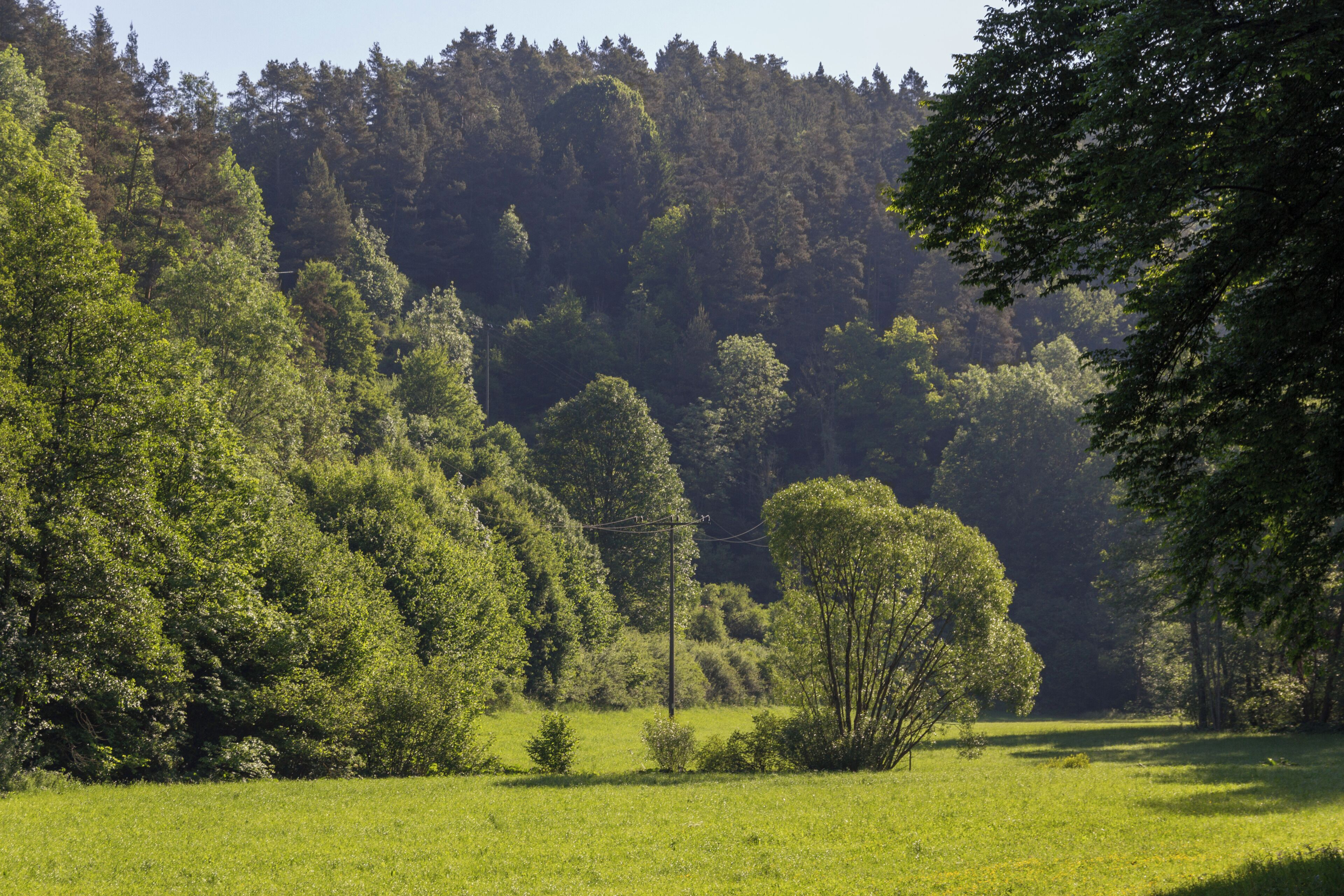Tal bei der Clarmühle, Landschaftsschutzgebiet Ausweisung des LSG Südlicher Jura mit Moritzberg und Umgebung, Alfeld