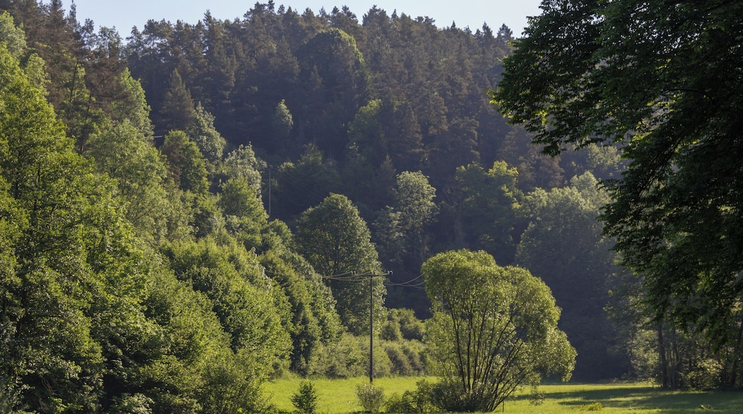 Tal bei der Clarmühle, Landschaftsschutzgebiet Ausweisung des LSG Südlicher Jura mit Moritzberg und Umgebung, Alfeld