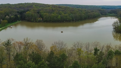 A river surrounded by dense forest and hills.